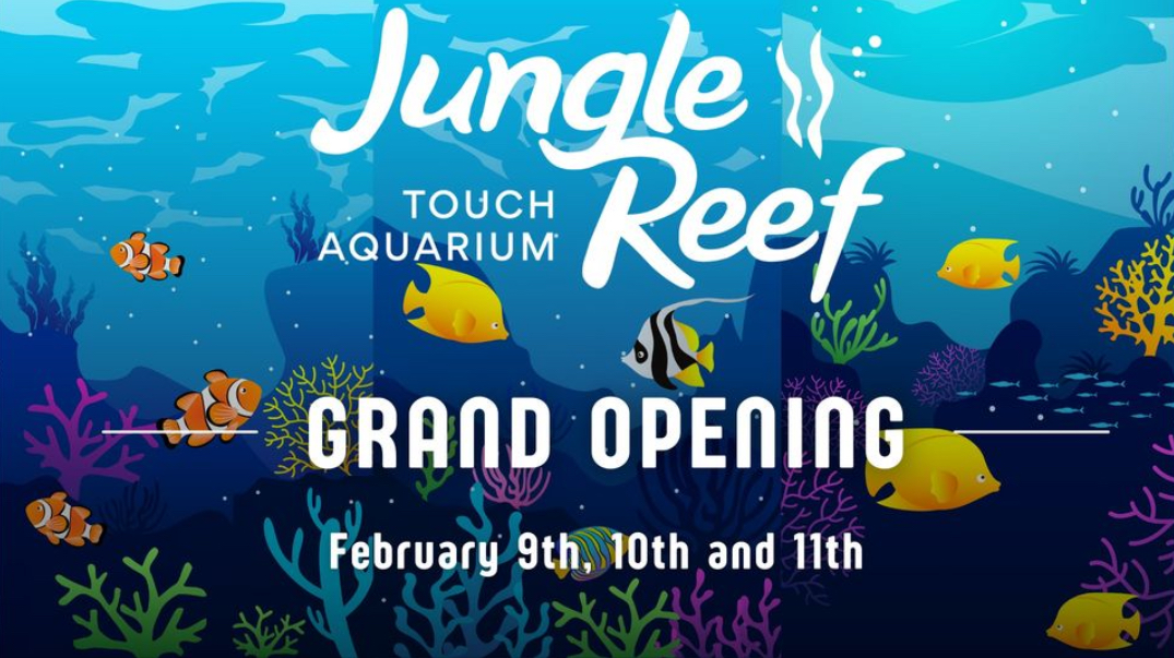 Grand Opening of Jungle Reef